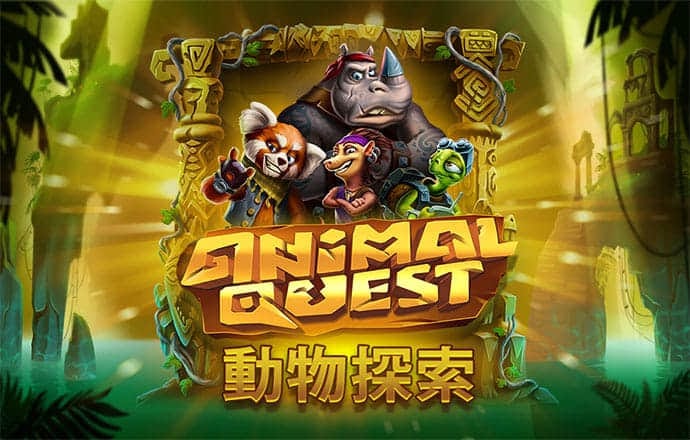 亚傅体育app平台